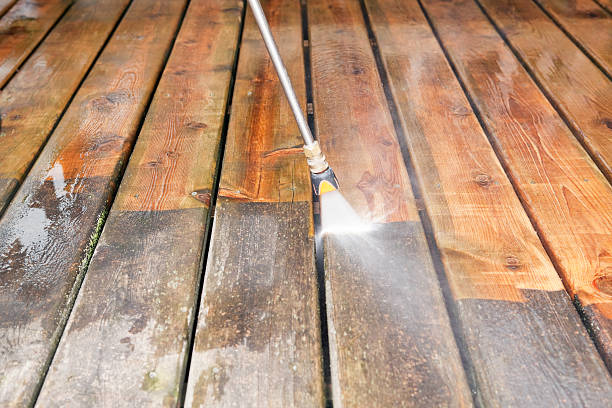 Best Animal Enclosure Cleaning  in Johnson City, TX